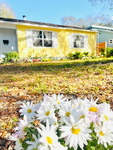 Apartamento Entire House Central Located