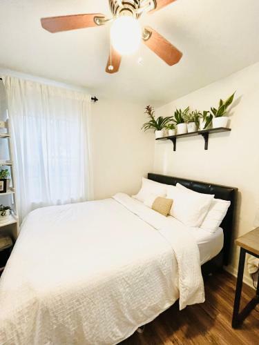 Apartamento Entire House Central Located