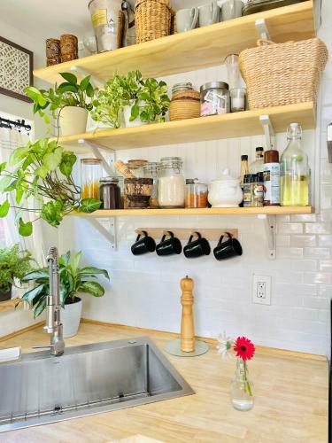 Apartamento Entire House Central Located
