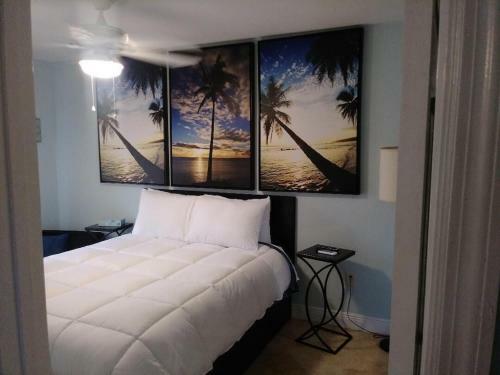 Tampa Bay Beautiful Apartment And Private Jacuzzi