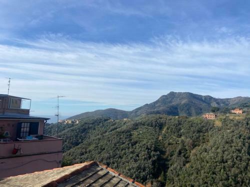 Apartamento Casa Canzio