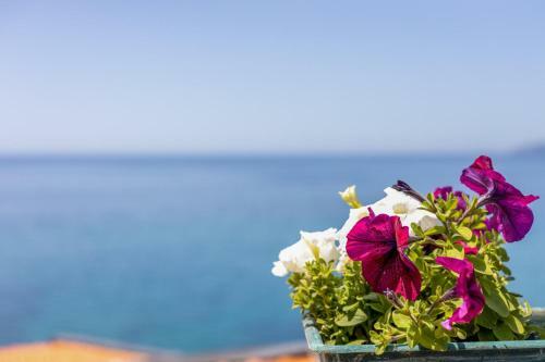 La Terrazza Sul Mare