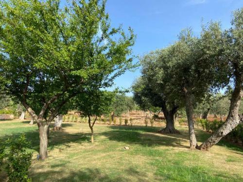 Il Villino Di Grazio