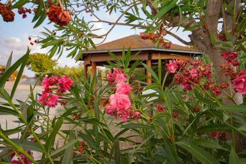 Agriturismo L'istrice Di Gi�