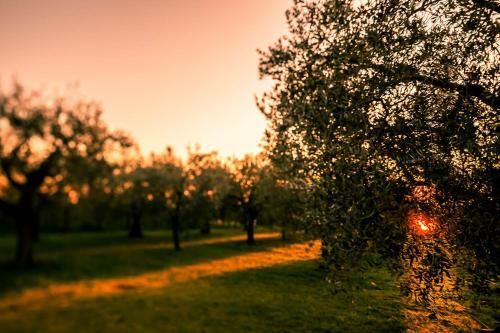Agroturismo Quercia Belvedere Relais