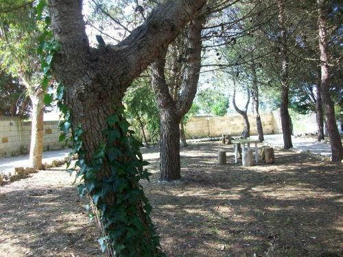 Apartamento Alloggi Rurali Per Vacanze