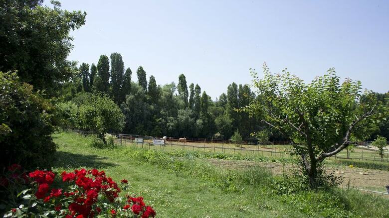 Agroturismo Agriturismo Case Mori