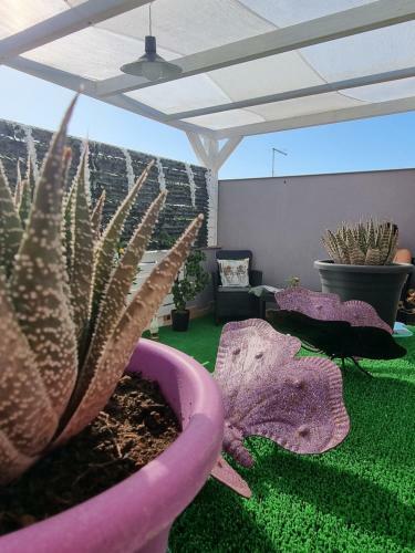 Apartamento La Maiolica Open Space