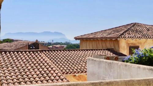 Apartamento Belvedere 27 Lt 1