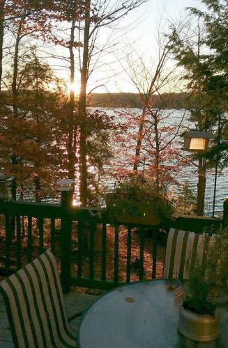 Coleman's Cabin