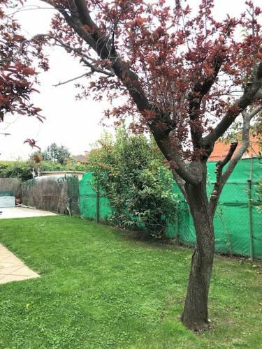 Entire Cottage With Swimming Pool And Bbq