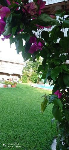 Apartamento Almademenc�a
