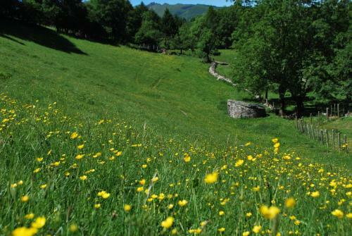Agroturismo Agriturismo Le Radici