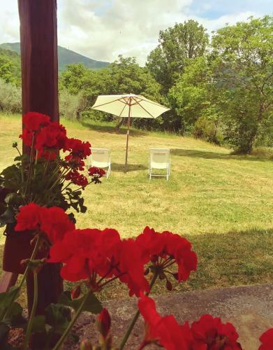 Agroturismo Agriturismo Botro