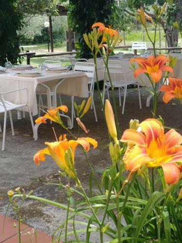 Agroturismo Agriturismo Botro