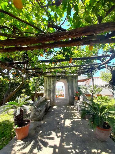 Apartamento O' Suppigno - Historic House