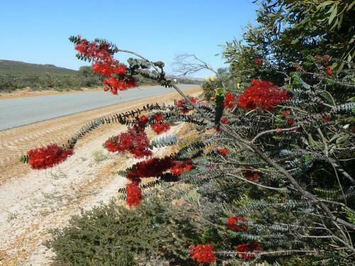 Motel Centrebreak Beach Stay