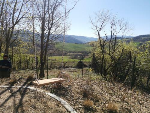 "carul�t Arancio" Nel Bosco