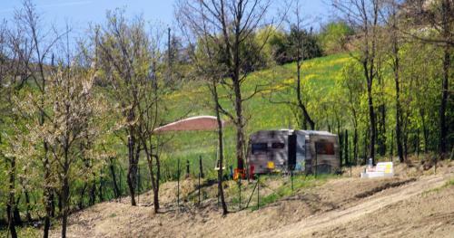 "carul�t Arancio" Nel Bosco