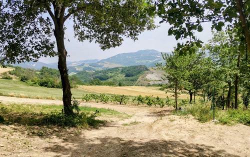 "carul�t Arancio" Nel Bosco