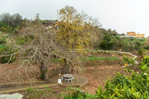 Villa Finca Los Castanos - Panoramic View