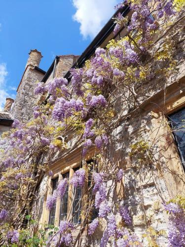 Agroturismo The Manor House, Curry Mallet