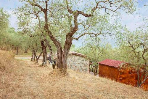 Villa Il Capanno Di Battaglia