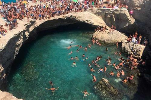 Lachorisia