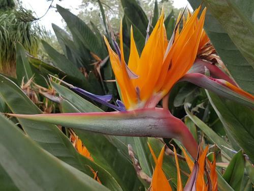 Apartamento Da Cristina Con Amore