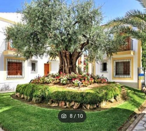 Vera, Apartamento Junto A La Playa