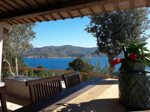 Apartamento Agriturismo Galenzana