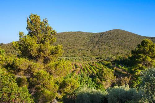 Apartamento Agriturismo Galenzana