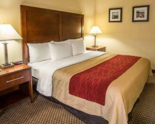 Hotel Comfort Inn & Suites