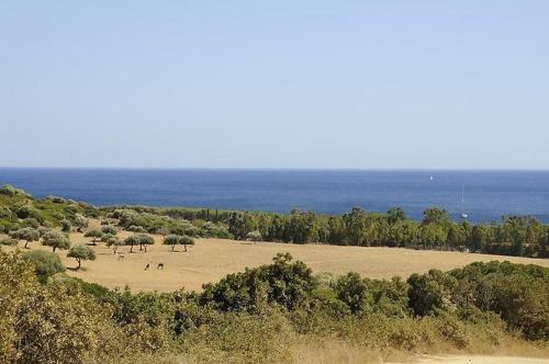 Villa Limone Intero Alloggio A 300 Mt Dal Mare 8p