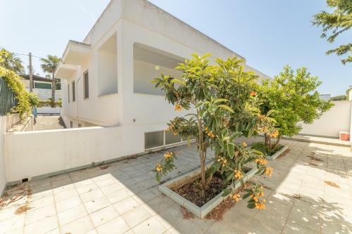 Apartamento Villetta Blu Di Mancaversa