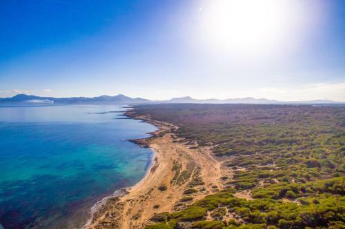 Son Serra