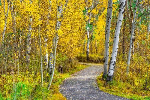 Cascade View Retreat