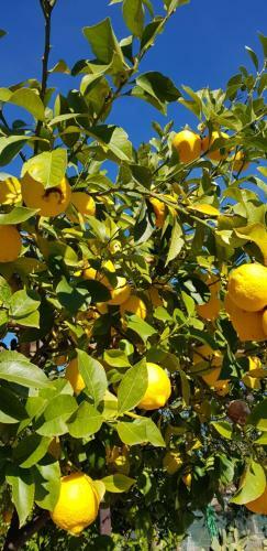 Bed & Breakfast Villa Piersepp