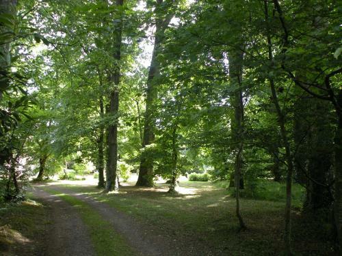 Bed & Breakfast Les Talvasi�res