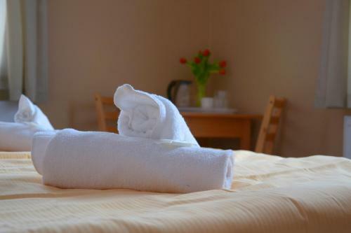 Hostal Penzion Svat� J�n