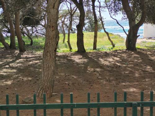 Apartamento Fronte Pineta Mare Rivabella