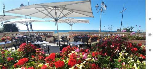 Apartamento La Calypsette - Face Grande Plage Des Sables D'olonne
