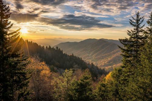 Apartamento Leconte View Retreat Whispering Pines 454