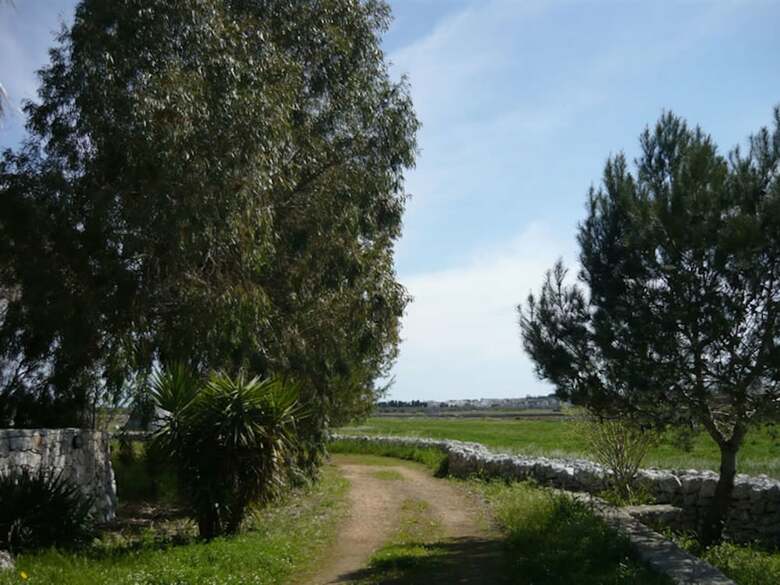 Agroturismo Agriturismo Baccole