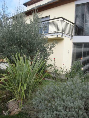Agroturismo Das Landhaus