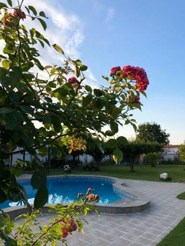 Villa Galeria In The Garden