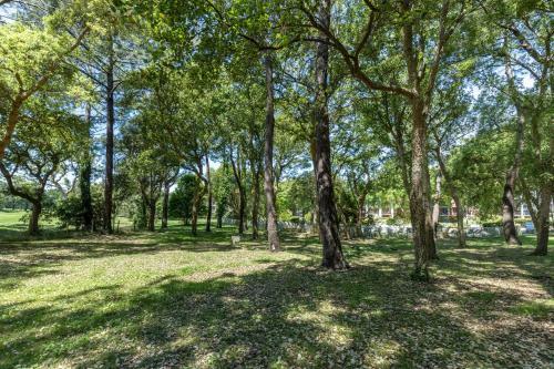 Apartamento T1 Bis Charroin