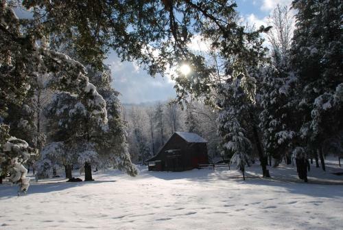 Hostal Shadow Mountain Escape Cabin Rentals