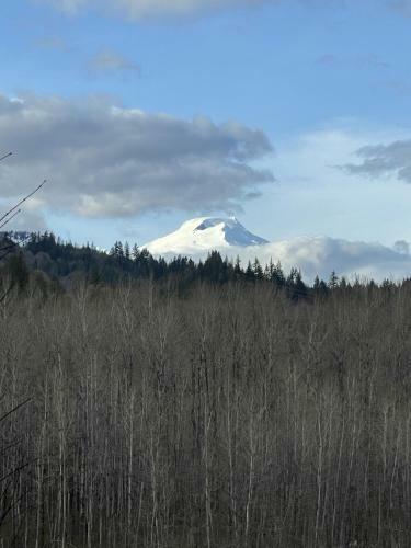 Spacious Riverside A-frame Cabin W/ Mt Baker Views