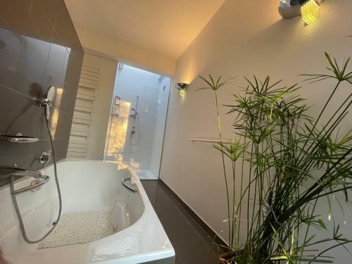 Villa Avec Piscine Sur Les Hauts De N�mes